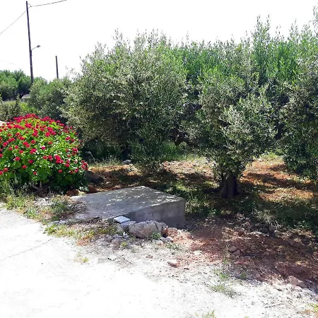 Despina'S House Villa Sitia  Exterior photo