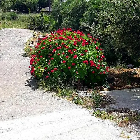 Despina'S House Villa Sitia  Exterior photo